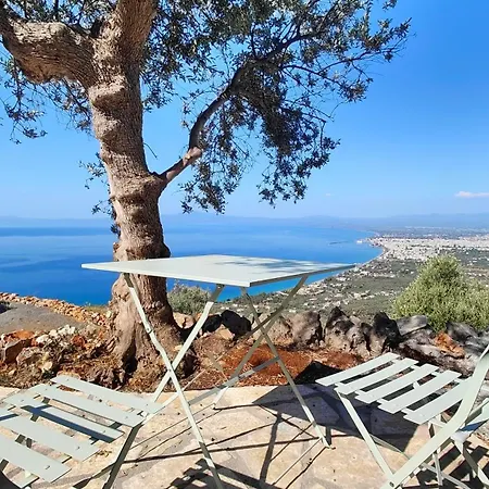 The Nest Villa *