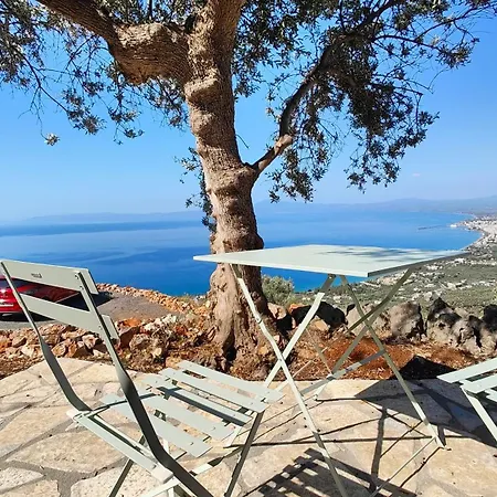 The Nest Villa