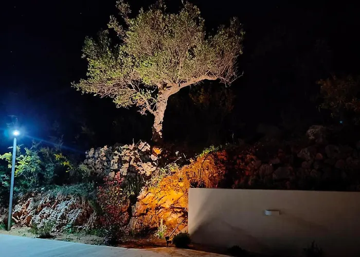 The Nest Verga Kalamata